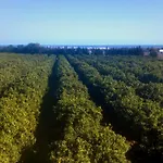 Quinta Da Pintassilga Holiday home