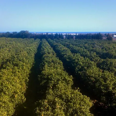 Quinta Da Pintassilga Nyaraló