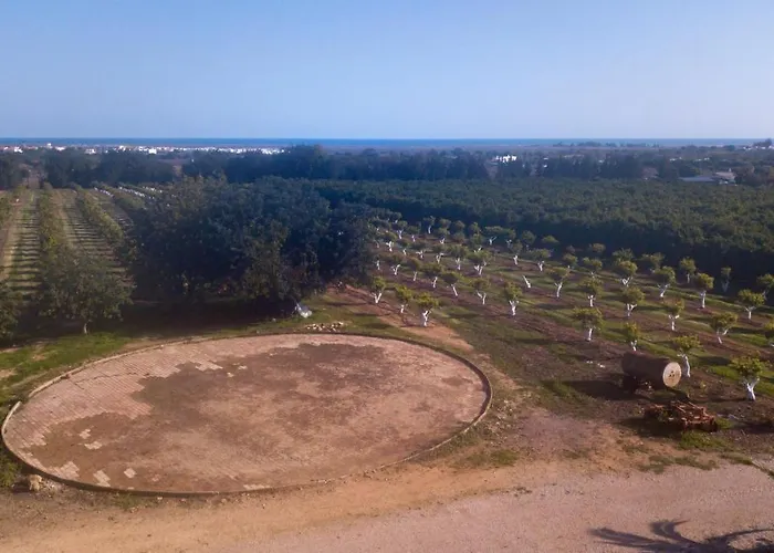 Vakantiehuis Quinta Da Pintassilga *