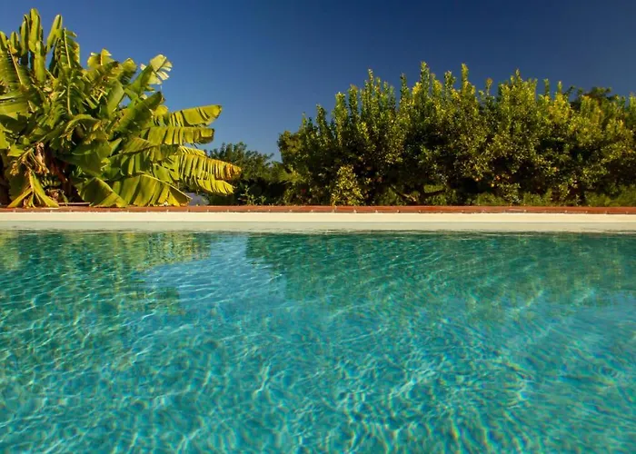 Quinta Da Pintassilga Vakantiehuis *