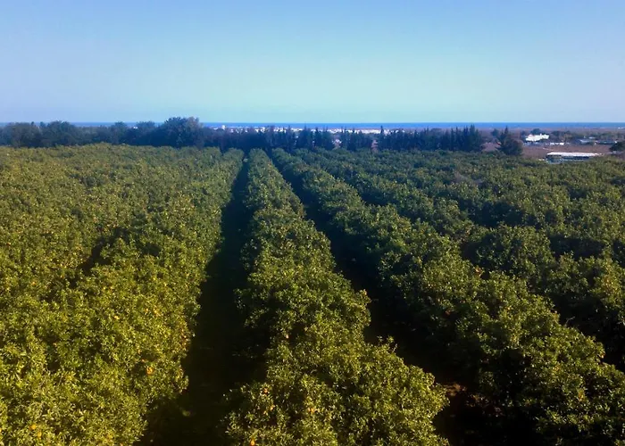 Quinta Da Pintassilga Vakantiehuis